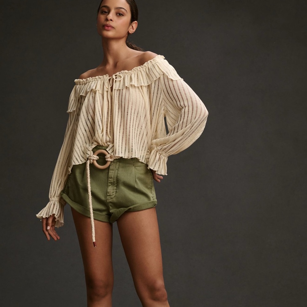 Long Sleeved Sheer Striped Crop Blouse